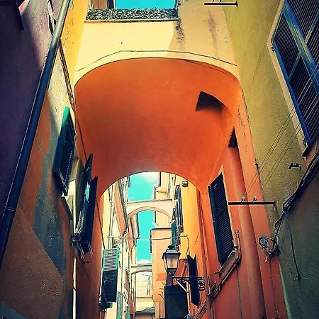 Ginestra 